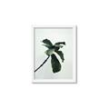 Picture of Green Sprout white _GroupedProduct_Rectangle_Portrait_Photography _GroupedProduct_Rectangle_Portrait_Framed_Matted_