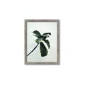Picture of Green Sprout white _GroupedProduct_Rectangle_Portrait_Photography _GroupedProduct_Rectangle_Portrait_Framed_Matted_