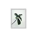Picture of Green Sprout white _GroupedProduct_Rectangle_Portrait_Photography _GroupedProduct_Rectangle_Portrait_Framed_Matted_
