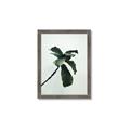 Picture of Green Sprout white _GroupedProduct_Rectangle_Portrait_Photography _GroupedProduct_Rectangle_Portrait_Framed_Matted_