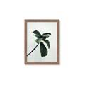 Picture of Green Sprout white _GroupedProduct_Rectangle_Portrait_Photography _GroupedProduct_Rectangle_Portrait_Framed_Matted_
