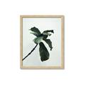 Picture of Green Sprout white _GroupedProduct_Rectangle_Portrait_Photography _GroupedProduct_Rectangle_Portrait_Framed_Matted_