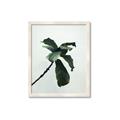 Picture of Green Sprout white _GroupedProduct_Rectangle_Portrait_Photography _GroupedProduct_Rectangle_Portrait_Framed_Matted_