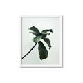 Picture of Green Sprout white _GroupedProduct_Rectangle_Portrait_Photography _GroupedProduct_Rectangle_Portrait_Framed_Matted_