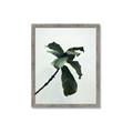 Picture of Green Sprout white _GroupedProduct_Rectangle_Portrait_Photography _GroupedProduct_Rectangle_Portrait_Framed_Matted_