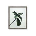 Picture of Green Sprout white _GroupedProduct_Rectangle_Portrait_Photography _GroupedProduct_Rectangle_Portrait_Framed_Matted_