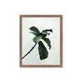 Picture of Green Sprout white _GroupedProduct_Rectangle_Portrait_Photography _GroupedProduct_Rectangle_Portrait_Framed_Matted_