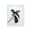 Picture of Green Sprout white _GroupedProduct_Rectangle_Portrait_Photography _GroupedProduct_Rectangle_Portrait_Framed_Matted_