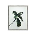 Picture of Green Sprout white _GroupedProduct_Rectangle_Portrait_Photography _GroupedProduct_Rectangle_Portrait_Framed_Matted_