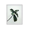 Picture of Green Sprout white _GroupedProduct_Rectangle_Portrait_Photography _GroupedProduct_Rectangle_Portrait_Framed_Matted_
