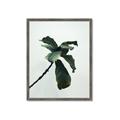 Picture of Green Sprout white _GroupedProduct_Rectangle_Portrait_Photography _GroupedProduct_Rectangle_Portrait_Framed_Matted_