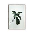 Picture of Green Sprout white _GroupedProduct_Rectangle_Portrait_Photography _GroupedProduct_Rectangle_Portrait_Framed_Matted_