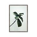 Picture of Green Sprout white _GroupedProduct_Rectangle_Portrait_Photography _GroupedProduct_Rectangle_Portrait_Framed_Matted_