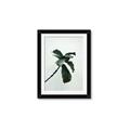 Picture of Green Sprout white _GroupedProduct_Rectangle_Portrait_Photography _GroupedProduct_Rectangle_Portrait_Framed_Matted_