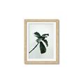 Picture of Green Sprout white _GroupedProduct_Rectangle_Portrait_Photography _GroupedProduct_Rectangle_Portrait_Framed_Matted_