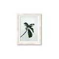 Picture of Green Sprout white _GroupedProduct_Rectangle_Portrait_Photography _GroupedProduct_Rectangle_Portrait_Framed_Matted_
