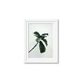 Picture of Green Sprout white _GroupedProduct_Rectangle_Portrait_Photography _GroupedProduct_Rectangle_Portrait_Framed_Matted_