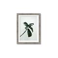 Picture of Green Sprout white _GroupedProduct_Rectangle_Portrait_Photography _GroupedProduct_Rectangle_Portrait_Framed_Matted_