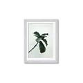 Picture of Green Sprout white _GroupedProduct_Rectangle_Portrait_Photography _GroupedProduct_Rectangle_Portrait_Framed_Matted_