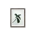Picture of Green Sprout white _GroupedProduct_Rectangle_Portrait_Photography _GroupedProduct_Rectangle_Portrait_Framed_Matted_