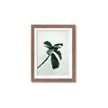 Picture of Green Sprout white _GroupedProduct_Rectangle_Portrait_Photography _GroupedProduct_Rectangle_Portrait_Framed_Matted_