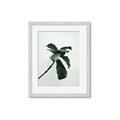 Picture of Green Sprout white _GroupedProduct_Rectangle_Portrait_Photography _GroupedProduct_Rectangle_Portrait_Framed_Matted_