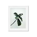 Picture of Green Sprout white _GroupedProduct_Rectangle_Portrait_Photography _GroupedProduct_Rectangle_Portrait_Framed_Matted_