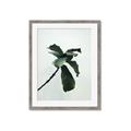 Picture of Green Sprout white _GroupedProduct_Rectangle_Portrait_Photography _GroupedProduct_Rectangle_Portrait_Framed_Matted_