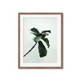 Picture of Green Sprout white _GroupedProduct_Rectangle_Portrait_Photography _GroupedProduct_Rectangle_Portrait_Framed_Matted_