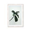 Picture of Green Sprout white _GroupedProduct_Rectangle_Portrait_Photography _GroupedProduct_Rectangle_Portrait_Framed_Matted_