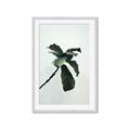 Picture of Green Sprout white _GroupedProduct_Rectangle_Portrait_Photography _GroupedProduct_Rectangle_Portrait_Framed_Matted_