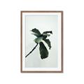 Picture of Green Sprout white _GroupedProduct_Rectangle_Portrait_Photography _GroupedProduct_Rectangle_Portrait_Framed_Matted_