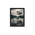 Picture of Tree Reflection _GroupedProduct_Rectangle_Portrait_Photography _GroupedProduct_Rectangle_Portrait_Framed_Matted_
