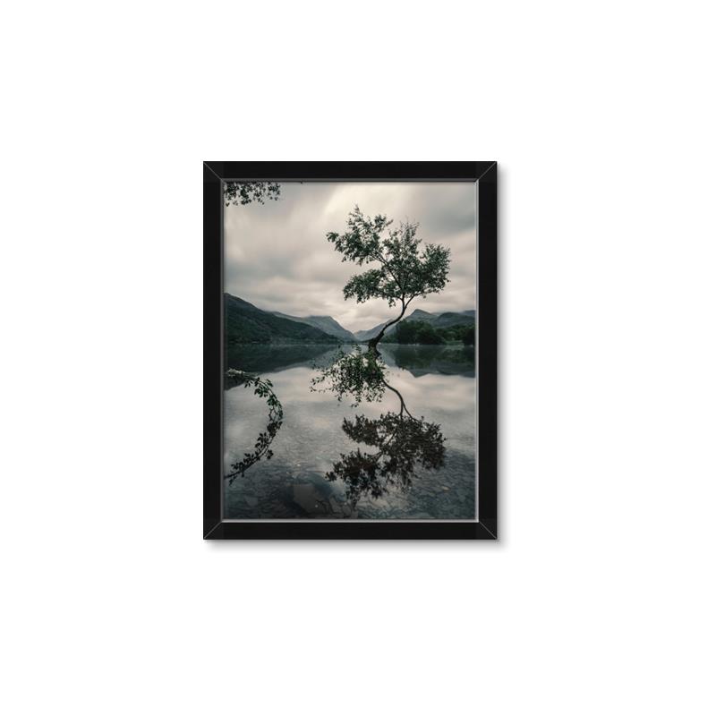 Picture of Tree Reflection _GroupedProduct_Rectangle_Portrait_Photography _GroupedProduct_Rectangle_Portrait_Framed_Matted_