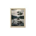 Picture of Tree Reflection _GroupedProduct_Rectangle_Portrait_Photography _GroupedProduct_Rectangle_Portrait_Framed_Matted_