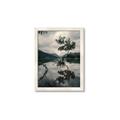 Picture of Tree Reflection _GroupedProduct_Rectangle_Portrait_Photography _GroupedProduct_Rectangle_Portrait_Framed_Matted_