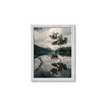 Picture of Tree Reflection _GroupedProduct_Rectangle_Portrait_Photography _GroupedProduct_Rectangle_Portrait_Framed_Matted_