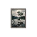 Picture of Tree Reflection _GroupedProduct_Rectangle_Portrait_Photography _GroupedProduct_Rectangle_Portrait_Framed_Matted_