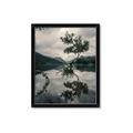 Picture of Tree Reflection _GroupedProduct_Rectangle_Portrait_Photography _GroupedProduct_Rectangle_Portrait_Framed_Matted_