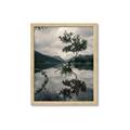 Picture of Tree Reflection _GroupedProduct_Rectangle_Portrait_Photography _GroupedProduct_Rectangle_Portrait_Framed_Matted_