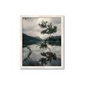 Picture of Tree Reflection _GroupedProduct_Rectangle_Portrait_Photography _GroupedProduct_Rectangle_Portrait_Framed_Matted_