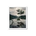 Picture of Tree Reflection _GroupedProduct_Rectangle_Portrait_Photography _GroupedProduct_Rectangle_Portrait_Framed_Matted_