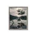 Picture of Tree Reflection _GroupedProduct_Rectangle_Portrait_Photography _GroupedProduct_Rectangle_Portrait_Framed_Matted_