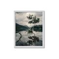 Picture of Tree Reflection _GroupedProduct_Rectangle_Portrait_Photography _GroupedProduct_Rectangle_Portrait_Framed_Matted_