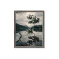 Picture of Tree Reflection _GroupedProduct_Rectangle_Portrait_Photography _GroupedProduct_Rectangle_Portrait_Framed_Matted_