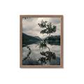 Picture of Tree Reflection _GroupedProduct_Rectangle_Portrait_Photography _GroupedProduct_Rectangle_Portrait_Framed_Matted_