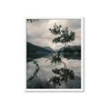 Picture of Tree Reflection _GroupedProduct_Rectangle_Portrait_Photography _GroupedProduct_Rectangle_Portrait_Framed_Matted_