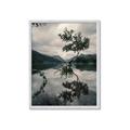 Picture of Tree Reflection _GroupedProduct_Rectangle_Portrait_Photography _GroupedProduct_Rectangle_Portrait_Framed_Matted_