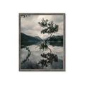 Picture of Tree Reflection _GroupedProduct_Rectangle_Portrait_Photography _GroupedProduct_Rectangle_Portrait_Framed_Matted_
