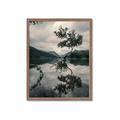 Picture of Tree Reflection _GroupedProduct_Rectangle_Portrait_Photography _GroupedProduct_Rectangle_Portrait_Framed_Matted_